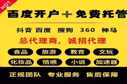 SEM广告投放案例：打造品牌影响力